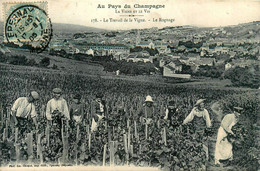 épernay * 1905 * La Vigne & Le Vin , Le Travail Dans Les Vignes , Le Rognage * Vins Vituculture Viticulteur - Epernay