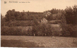 Grez-Doiceau  Les Hauteurs De Biez  N'a Pas Circulé - Graven