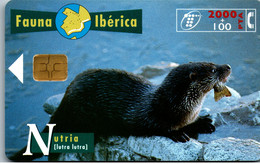 16995 - Spanien - Fauna Iberica , Nutria , Fischotter - Sonstige & Ohne Zuordnung