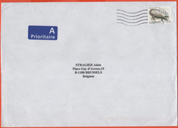 DANIMARCA - DANMARK - 2007 - 7,25 Sand Lizard - Medium Envelope - Viaggiata Da Midtjyllands Per Brussels, Belgium - Briefe U. Dokumente