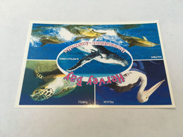 (ZZ 35) Australia - Hervey Bay - Tortoise - Dolphin - Pelican - Whate - Tartarughe