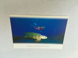 (ZZ 35) Tortoise / Tortue Aquatique - Turtles