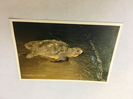 (ZZ 35) Greece Posted To Australia - Tortoise / Tortue Aquatique - Turtles