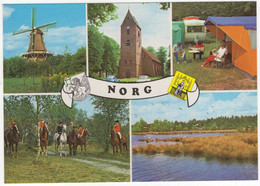 Norg - Molen, Camping, Paarden, Ruiters -  (Drenthe, Holland) - Nr. NOG 1 - 184 - Norg