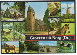 Groeten Uit Norg - Hunebed, Dieren, Wild, Molen, Kerk, Bos -  (Drenthe, Holland) - Nr. NOG 12 - Norg