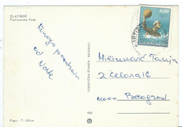 Yugoslavia Postcard Zlatibor. Stamp : 1972 Olympic Games - Munich, West Germany,waterpolo - Lettres & Documents