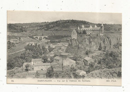 Cp,  15 , Cantal , SAINT FLOUR , Vue Sur Le Château Du Sailhans , Ed. ND ,vierge - Saint Flour