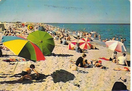 Narbonne Plage - Les Plaisirs De La Plage - Narbonne