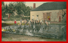 Cp Glacée - Type " La Vie Aux Champs " - VACHES A LA MARE - Ferme - Animée - Colorisée - Edit. ELD - Elevage