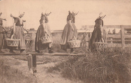 NAAR De STAD ZEELAND HOLLAND Porteuse Eau - Autres & Non Classés