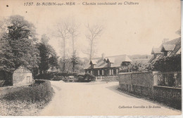 76 - SAINT AUBIN SUR MER - Chemin Conduisant Au Château - Other Municipalities