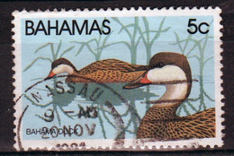 Bahamas 1981 Single 5c  Stamp From The Wildlife 1st Series Set In Fine Used - Bahamas (1973-...)