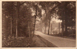 Environs De Grez-Doiceau  A L'entrée Du Bois De Beausart  Carte Festonnée Voyagé En 1937 - Grez-Doiceau