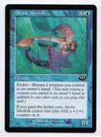 MAGIC The GATHERING  "Arctic Merfolk"---PLANESHIFT (MTG--108-7) - Autres & Non Classés