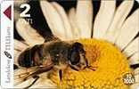 Latvia , Lettland , Lettonia  -  Insekt  Bee  2 Lats Used Phonecard - Letland