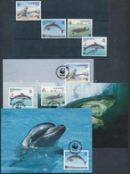 ** 1990 WWF Tengeri állatok Sor Mi 497-500 + 4 CM + 4 FDC - Otros & Sin Clasificación