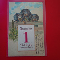 GAUFREE JANUAR I VIEL GLUCK CHIENS - Neujahr