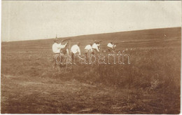 * T2 A Front Mögött, Katonák Aratják A Terményt A Menázsihoz / WWI Austro-Hungarian K.u.K. Military, Soldiers Harvest Th - Sin Clasificación