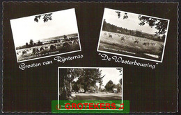 OOSTERBEEK Rijnterras De Westerbouwing 3-luik  Echte Foto 1957 - Oosterbeek