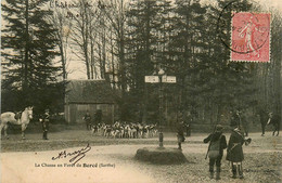 Mayet * Jupilles * Forêt De Bercé * La Chasse à Courre * Vénerie * Meute * Carrefour De Chemins - Mayet