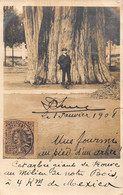 CPA MEXIQUE CARTE PHOTO UNE FORMIE AU PIED D'UN ARBRE A 4 KM DE MEXICO - Mexique