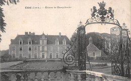 Cléré-les-Pins    37          Le Château De Champchevrier         (voir Scan) - Cléré-les-Pins