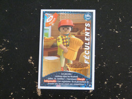CARTE CARREFOUR PLAYMOBIL N° 09 - FECULENTS - Other & Unclassified