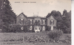 HARSIN Le Château De CHAVANNE Carte Postale Non Circulée état Impeccable - Nassogne