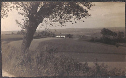 Comines - Carte Photo D'Art N. Verheyde - Comines-Warneton - Komen-Waasten