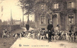 Vielsam - La Meute De La Chasse à Courre (animée Chiens) - Vielsalm