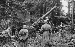 Militaria Schweizer Armee  Armée Suisse Motorisierte Schwere Artillerie - Lourde Tractée Dans La Forêt - Canon - PLi ! - Andere & Zonder Classificatie