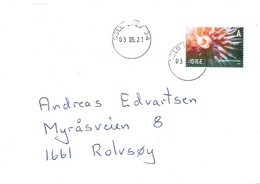 Norway 2005 / 2021 Cover With Mi 1545 Sea Animals, Sea Anemone (Urticina Eques)  Cancelled Oslo Brev 3.5.21 - Covers & Documents