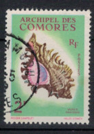 COMORES    N°  YVERT 21 OBLITERE       ( Ob   3 / 08 ) - Used Stamps