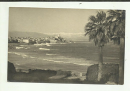 66  . CARTE PHOTO . COLLIOURE . LA PLAGE ET CHATEAU ROYAL - Photos