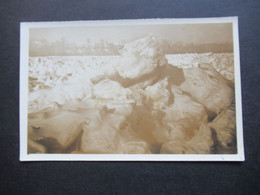 Österreich 1929 Echtfoto AK Katastrophe Eisstoss Vor Krems Februar 1929 Foto Karsky Krems A.D. Ledererg - Disasters