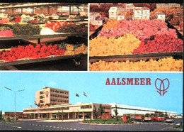 Nederland Holland Pays Bas Aalsmeer Snijbloemen - Aalsmeer