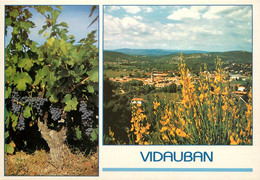 CPSM Vidauban-Multivues     L904 - Vidauban