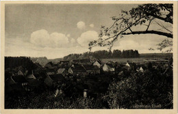 CPA AK LUTZELSTEIN Elsass. (490123) - La Petite Pierre