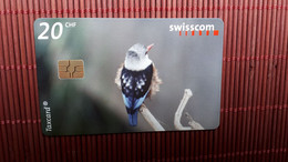 Phonecard Bird Used  Rare - Uccelli Canterini Ed Arboricoli
