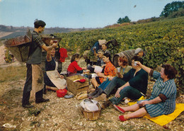 71 - Vendanges En Bourgogne - Beau Cliché Animé Colorisé Des Vendanges - L'Heure Du Casse-Croute - Bourgogne