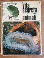 Vita Segreta Degli Animali - G. Zanini - Mondadori - 1969 - AR - Natuur