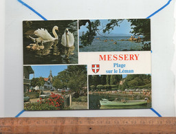 MESSERY Haute Savoie 74 :  La Plage Sur Le Bord Du Lac Léman - Messery