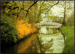 F3658 - TOP Wörlitz Brücke Oranienbaum - Bild Und Heimat Reichenbach - Wörlitz