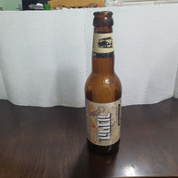 Israel-GIBOR BREWERY-Fresh Beer-(Alcohol-4.9%)-(330ml)-(PA100---14/07/22)-bottle Used - Cerveza