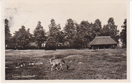 Laren Hertekamp Hert SN1036 - Laren (NH)