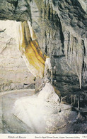 Postcard Flitch Of Bacon Dan Yr Ogof National Show Caves Of Wales Brecon Beacons My Ref B14503 - Breconshire