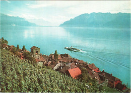 CPM Suisse (Vaud) Saint-Saphorin Et Le Vignoble De Lavaux Et Bateau TBE éd. Librairie Marguerat, Photo Chiffelle - Saint-Saphorin