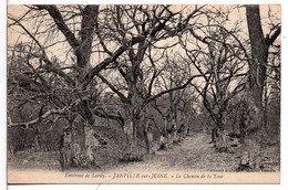 * Environs De LARDY  - Janville-sur-Juine  Le Chemin De La Tour - Lardy