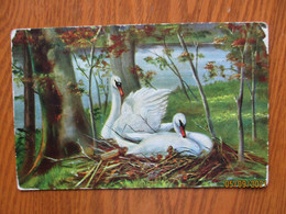 SWANS MUELLER MÜLLER AUGUST MUNICH , OLD POSTCARD , 0 - Müller, August - München