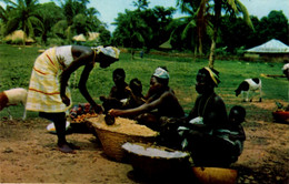 GUINÉ BISSAU - Mercado Nativo - Guinea-Bissau
